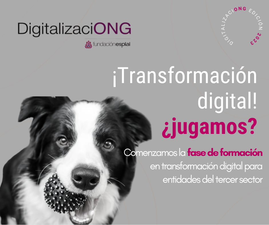 Fase 3 de DigitalizaciONG 2023