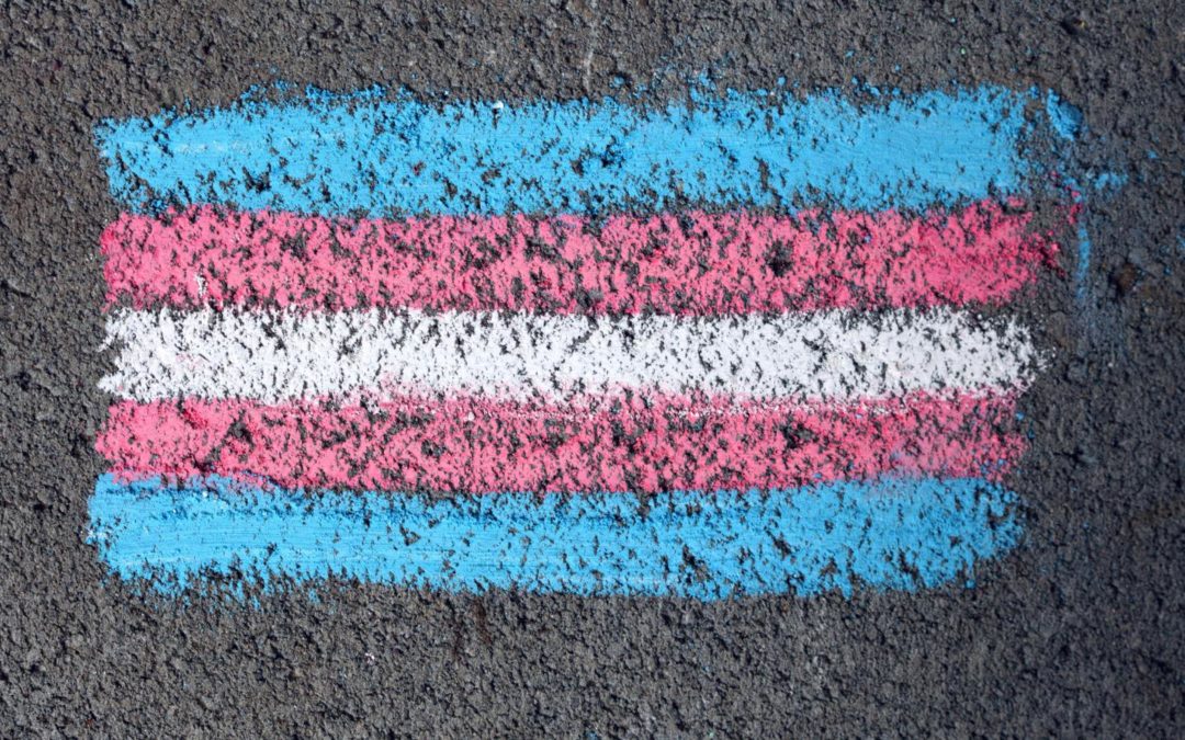 Principales novedades de la ley trans