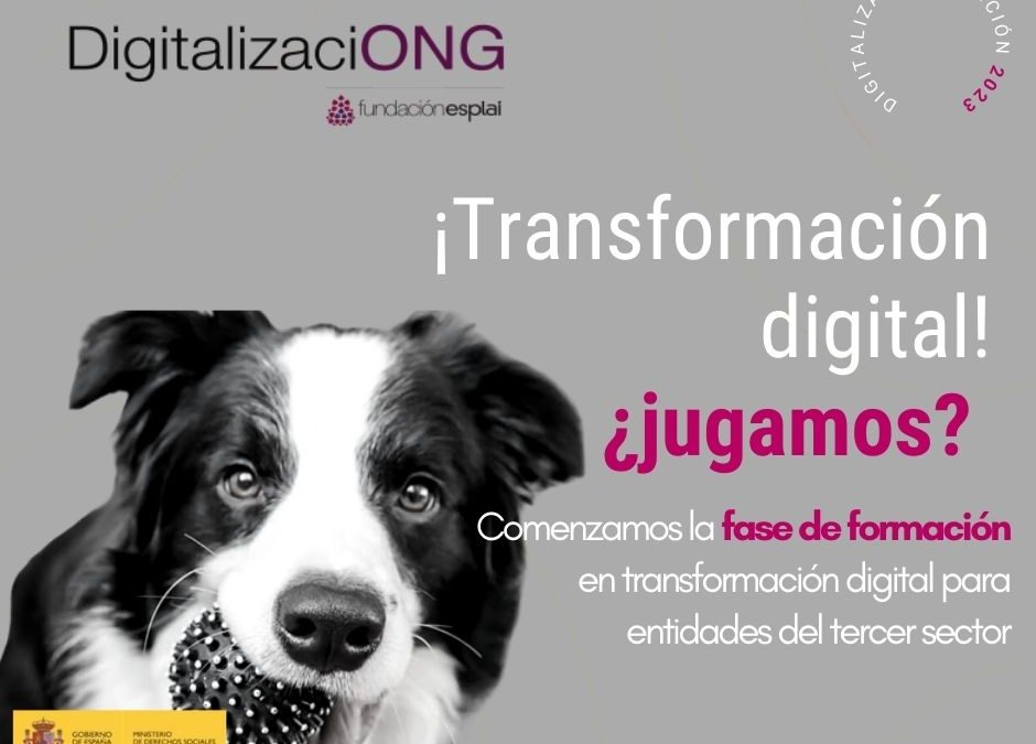 DigitalizaciONG la primera consultoría digital pensada por el tercer sector para el t3rcer sector