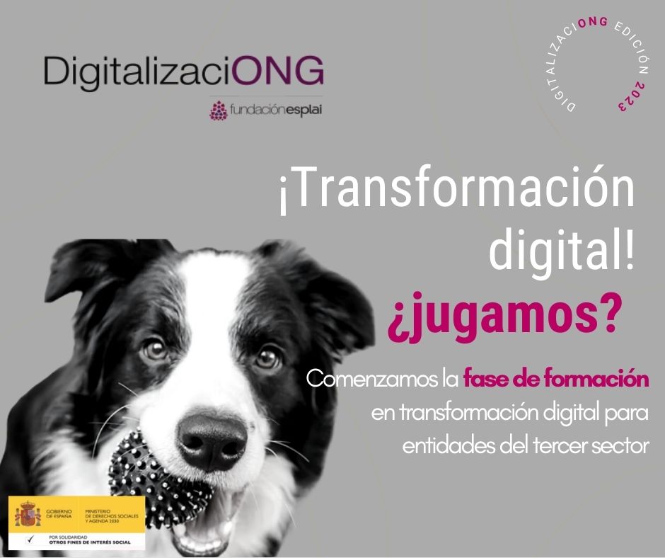 DigitalizaciONG la primera consultoría digital pensada por el tercer sector para el t3rcer sector
