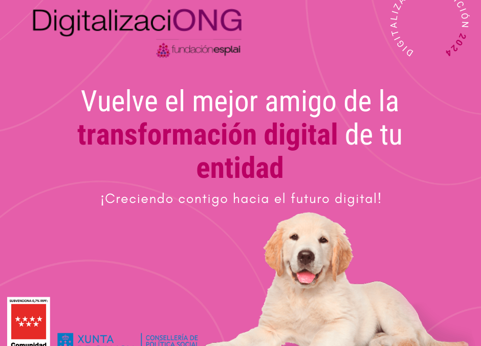 ¡Arranca una nueva edición del Programa DigitalizaciONG para entidades sociales!