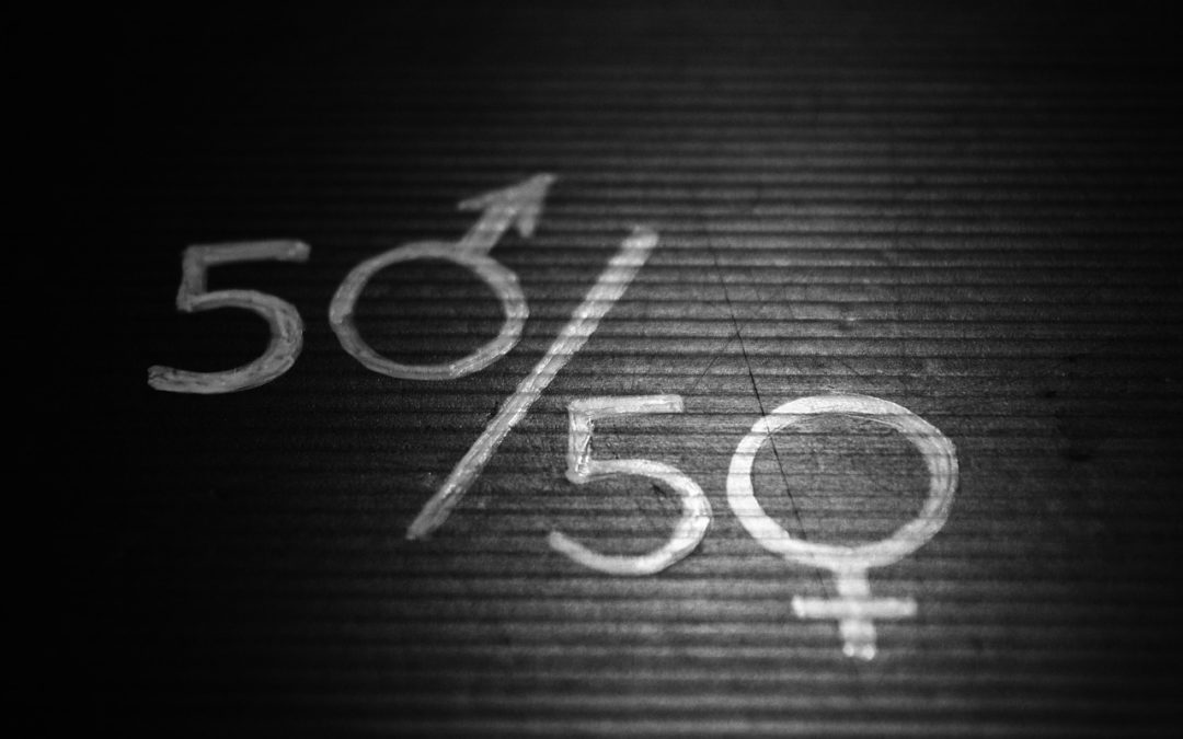 CARACTERÍSTICAS DE LA REPRESENTACIÓN SINDICAL EN LOS PLANES DE IGUALDAD