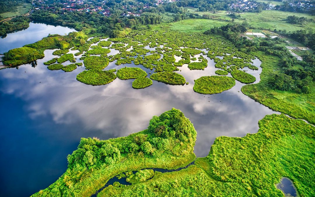 Herramientas Digitales para una Gestión Más Ecológica en el Tercer Sector