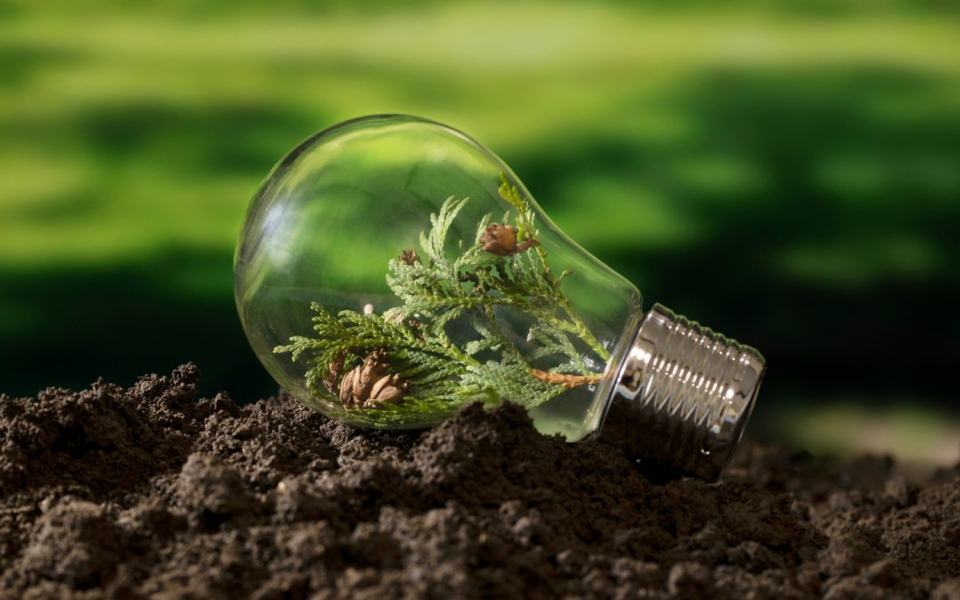 Economía circular en el tercer sector: estrategias prácticas para una gestión más sostenible