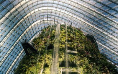 Cómo aplicar la metodología PDCA para avanzar hacia un futuro más sostenible en el tercer sector