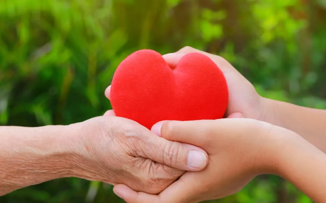 CREA ERP evoluciona la herramienta de Donaciones para dar mayor control y visibilidad a las entidades