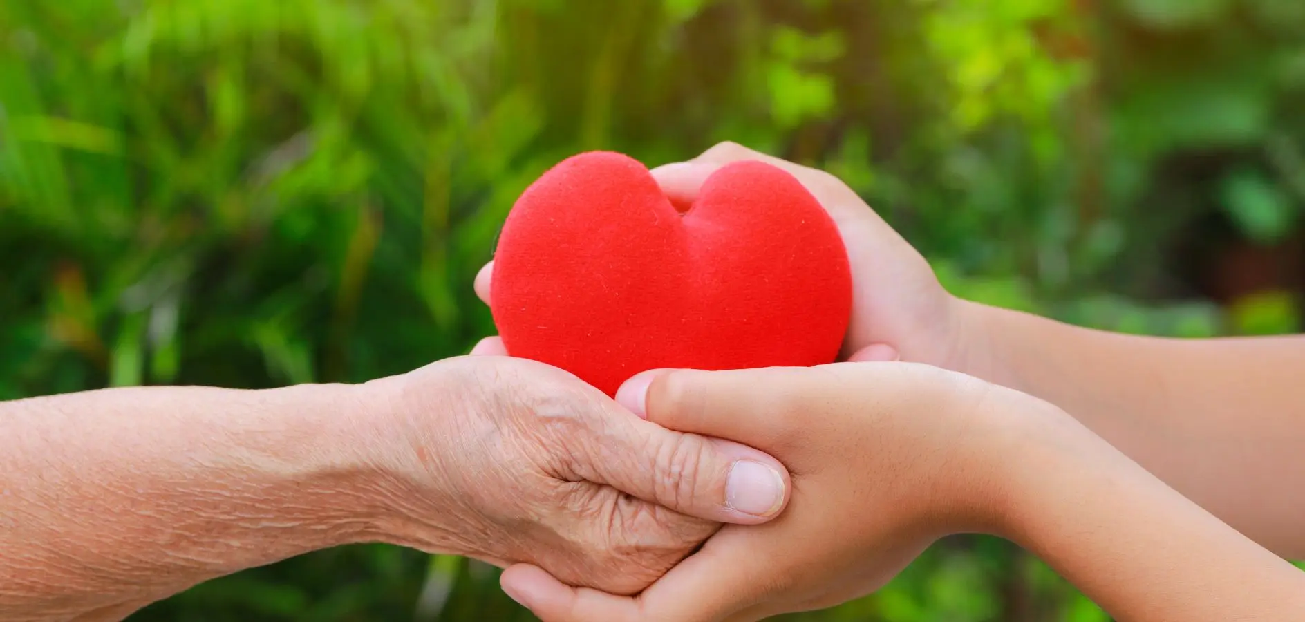 CREA ERP evoluciona la herramienta de Donaciones para dar mayor control y visibilidad a las entidades