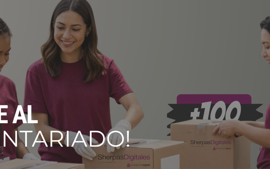 Sherpas Digitales: el voluntariado tecnológico que ya hace lo que la ley pide